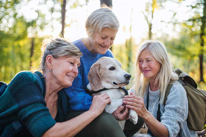 A Guide To A Pet-Friendly Senior Living Community In Maryland ...